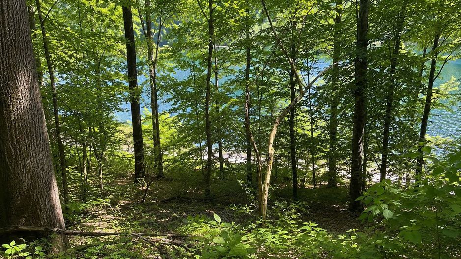 Teren intravilan cu acces la Lacul Tarnița – Somesu Cald - Poză 2