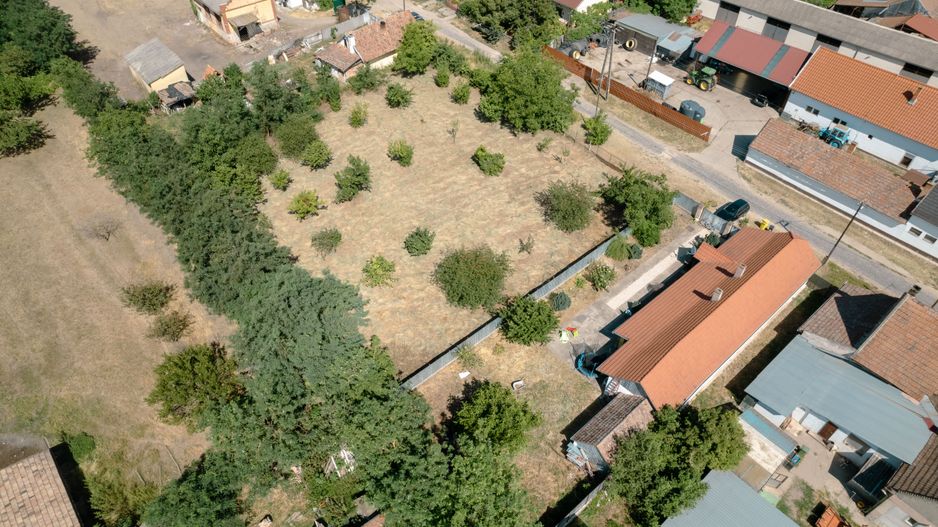 Casă cu teren 3332mp în Bătania - Poză 14