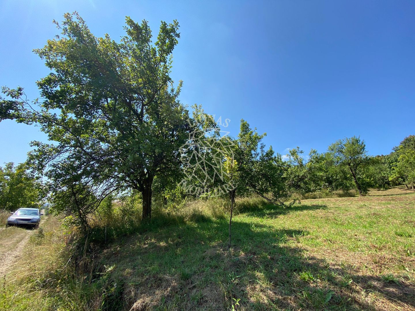 Teren intravilan 1300 mp-parcelabil-Viile cu Pomi-Unirea-Exclusiv - Poză 4