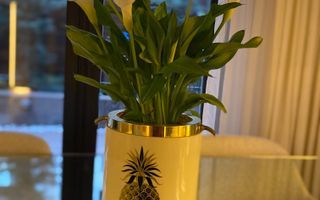 Nordului Herastrau 4 camere grădină proprie la 150m de parc - Poză 5