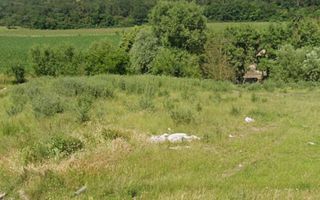 Vindem o parcela de teren pe strada Remetea.  Chiar la principala - Poză 2