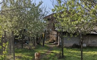 Casa P+Beci + 1.451 mp Teren ( Toate utilitatile)  – Langă Profi/Pepco - Poză 6