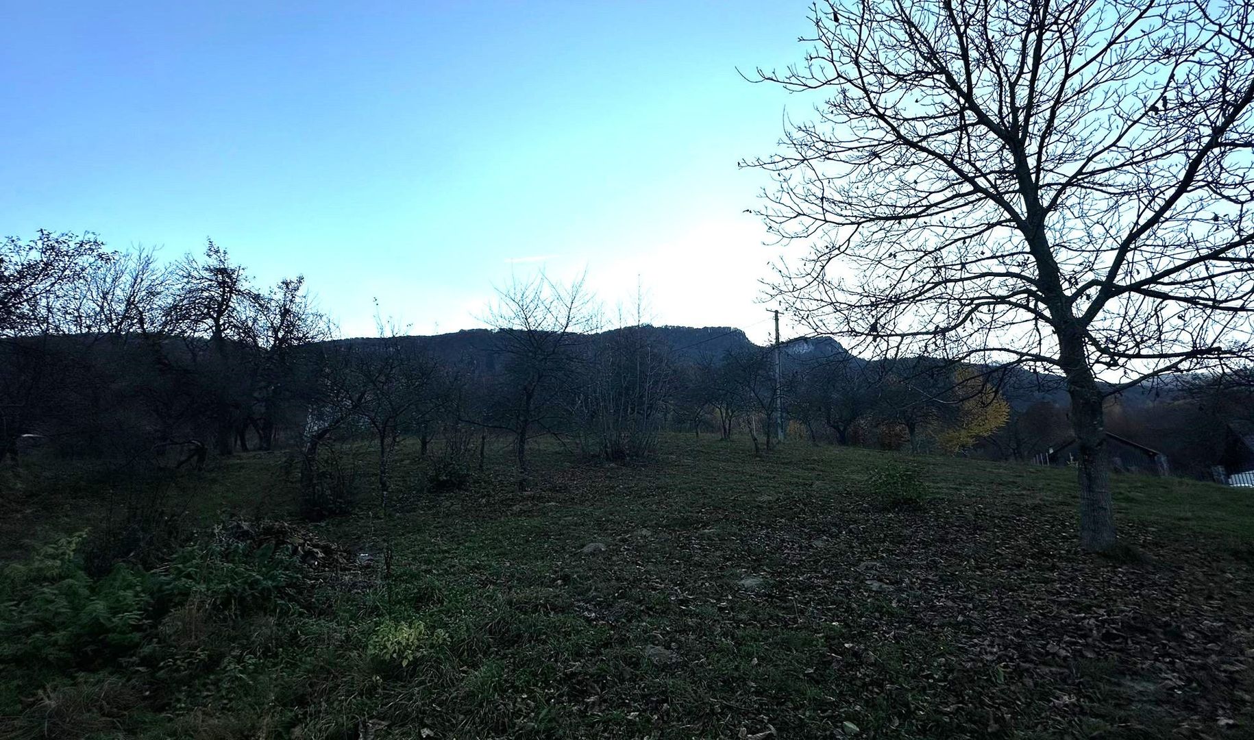 Teren Intravilan cu 2 Deschideri 4000mp Predelut-Bran | GOPO - Poză 11