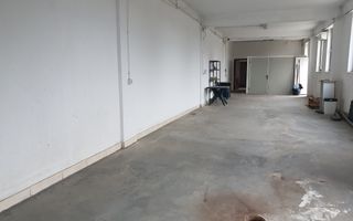 2 HALE de 357 mp si 474 mp  si teren intravilan de 5423 mp  Isalnita - Poză 6