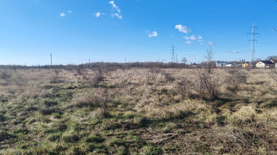 Teren Joita -  Bacu - Dragomiresti - Poză 3