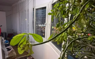 Ap 3 cam 90 mp -cu balcon - et 1- mobilat/utilat+loc parcare - Poză 16