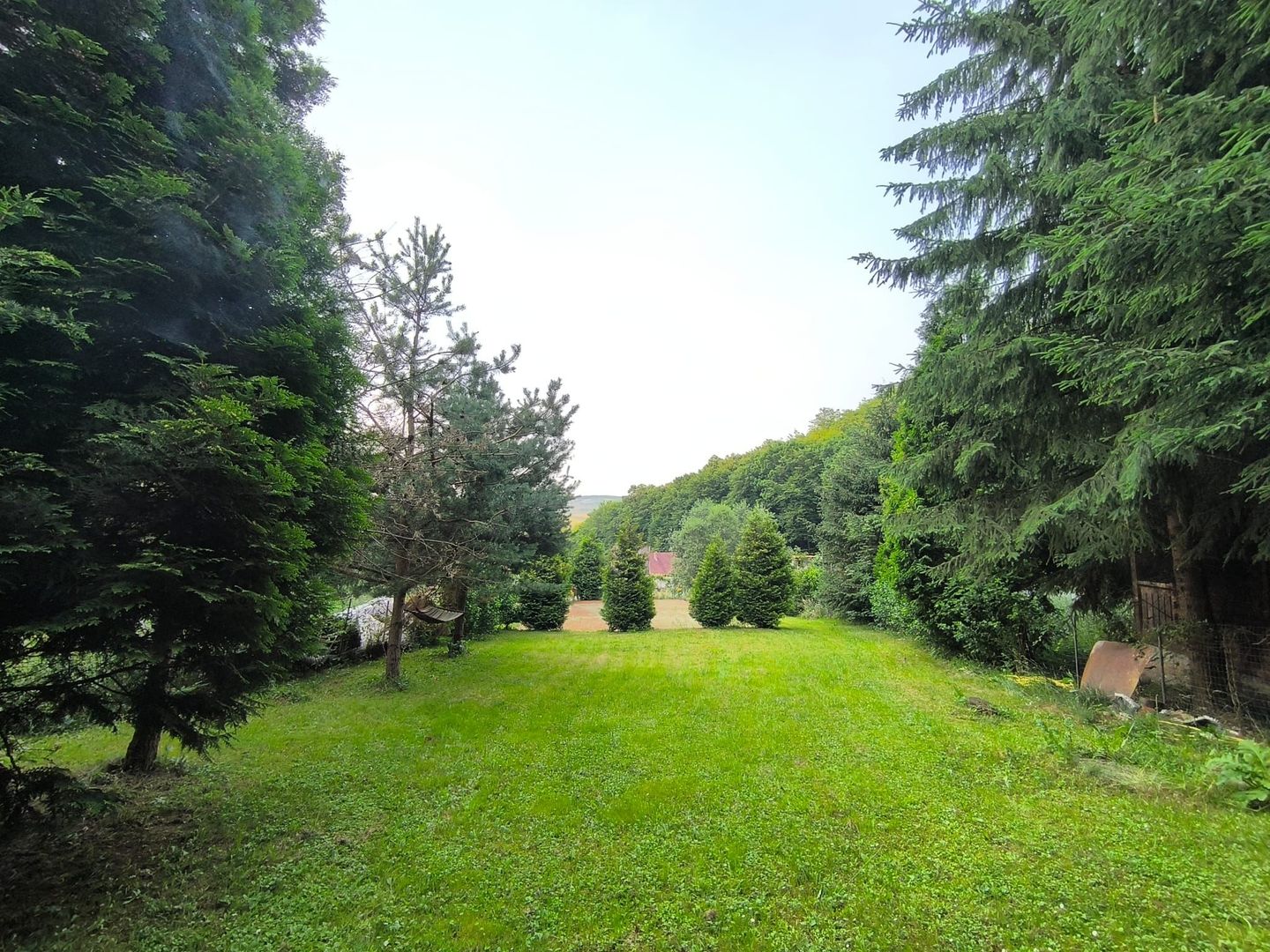 Cabana de vanzare in Capusu Mare - Poză 11