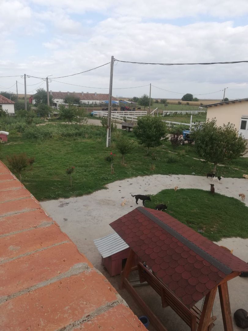 Ferma de vânzare - Poză 15