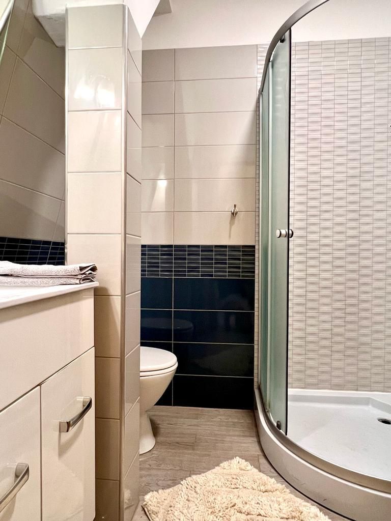 APARTAMENT tip penthouse  ZONA Torontalului - Poză 16