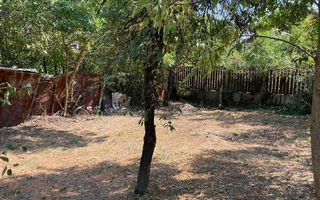 Casă veche pe teren de 540 mp, ideal pentru construcție, în Fratelia - Poză 4