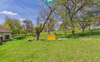 Proprietate rară cu 24.270 mp, în Măgulicea, Arad! - Poză 36