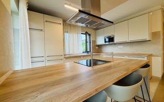 Apartament 4 camere in vila, 105 mp utili, 30 terasa, zona Gruia - Poză 5