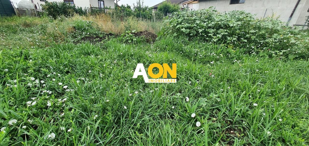 Teren Intravilan Cu Toate Utilitatile 360MP - Poză 2