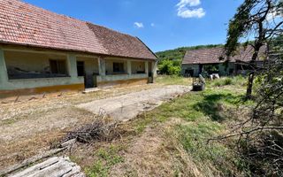 Teren Împrejmuit, 3514mp, Asfalt, Ciugud - Poză 7