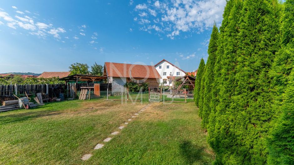 Casa + Pensiune deosebita - Orlat, Sibiu - Poză 62