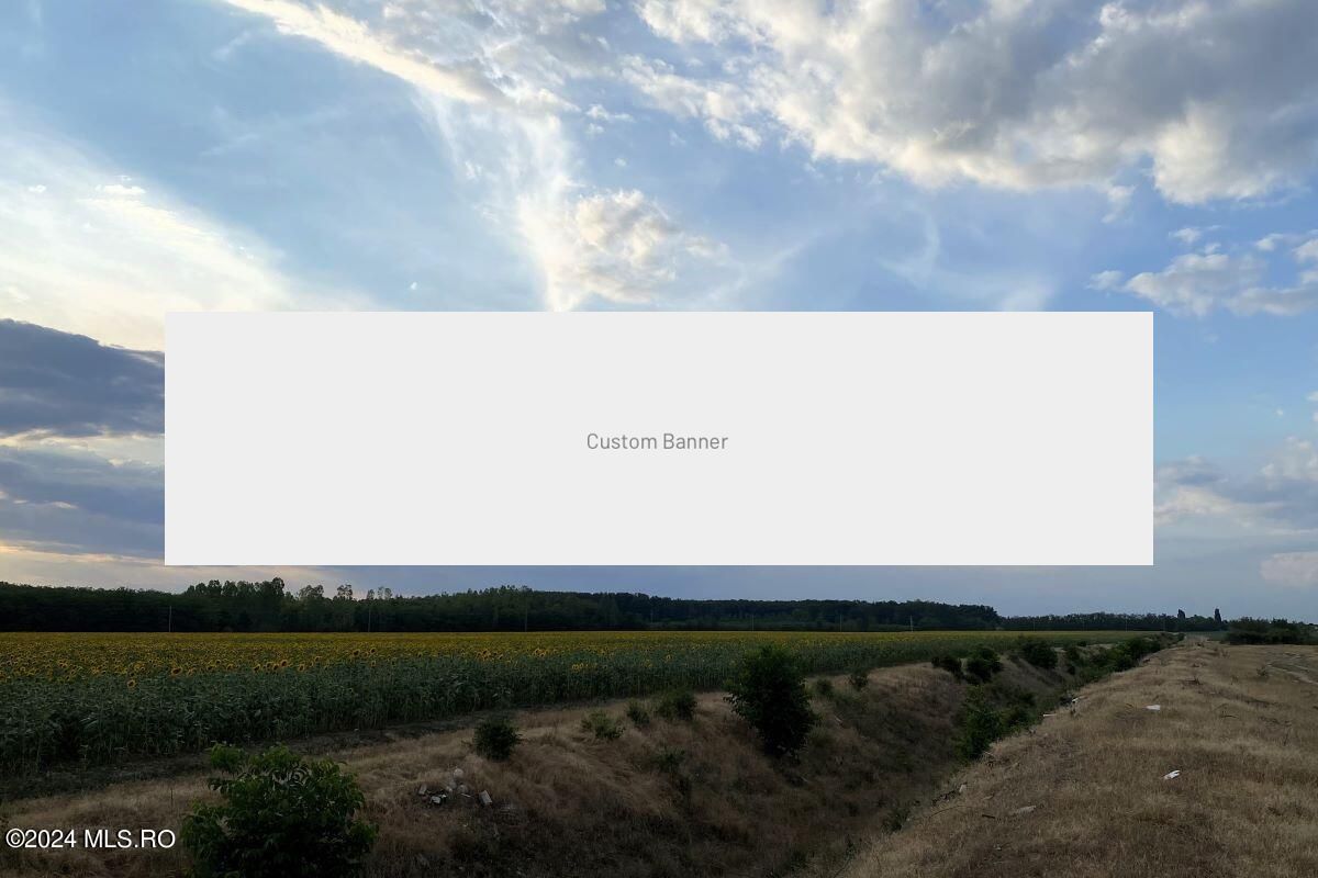 Tamasi, langa padure, 12.824 mp, deschidere 45 ml, teren cu potential - Poză 7