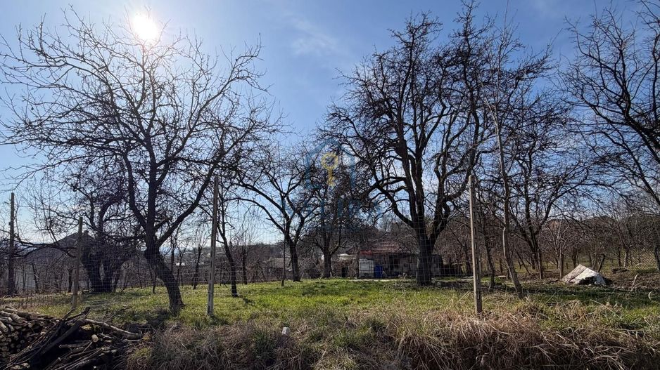 Teren de vânzare în Groși cu priveliște superbă - Poză 2