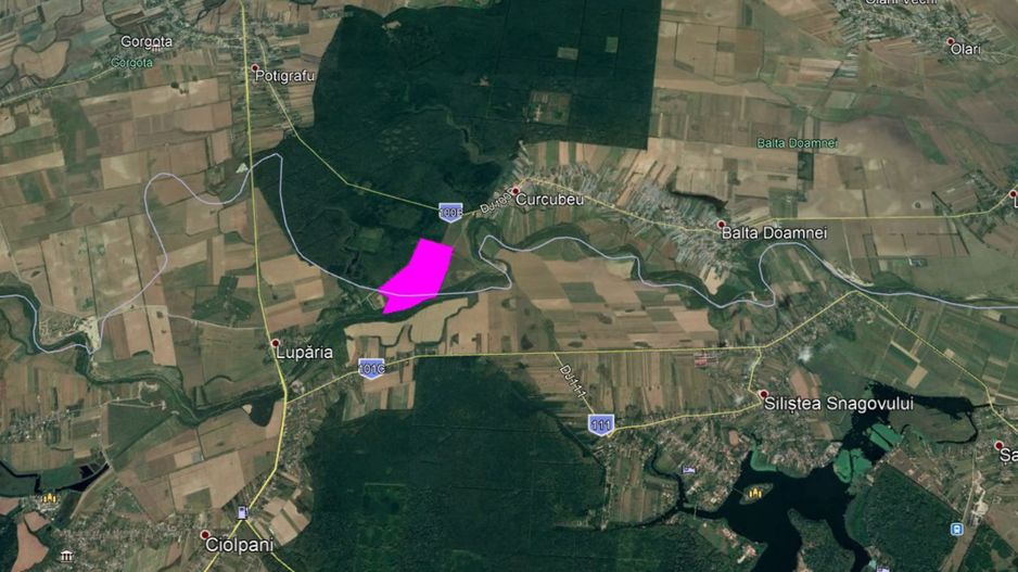 teren Balta Doamnei - Poză 1