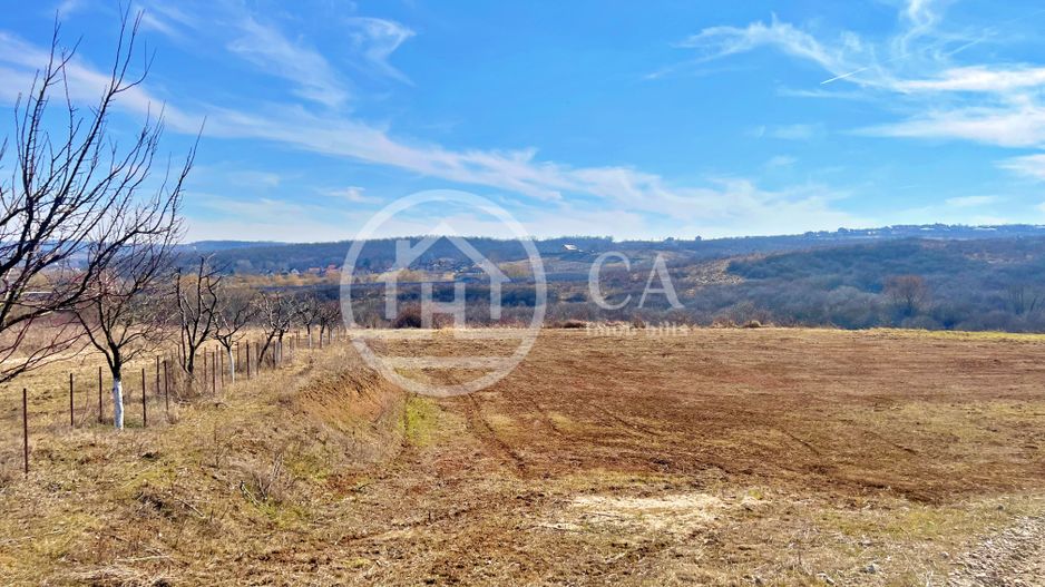 Teren 130.000 mp de vanzare in Paleu, Oradea - Poză 2