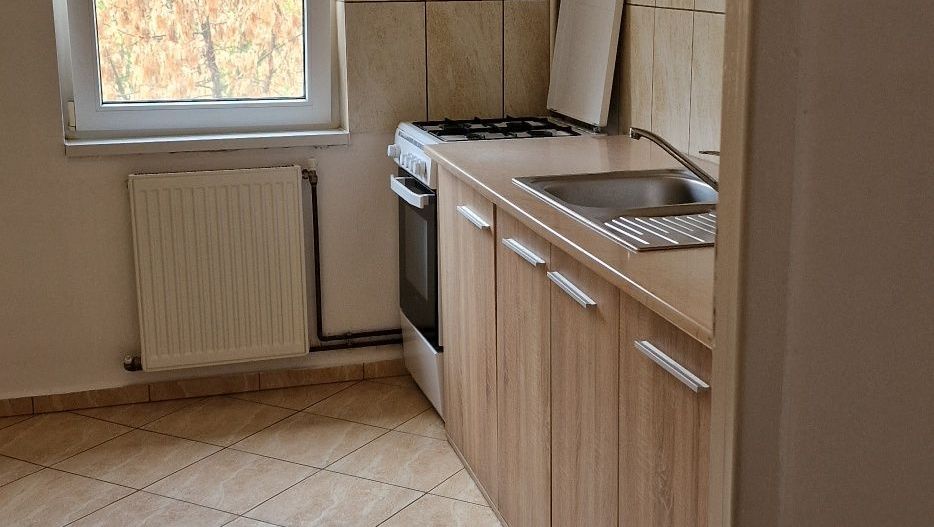 Girocului-Spitalul Judetean | 2 Camere | Etaj intermediar | Pet Friendly - Poză 5