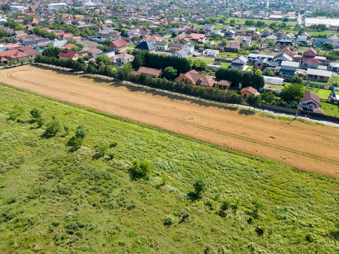 Loc de casă/teren intravilan în Bujac - Poză 3