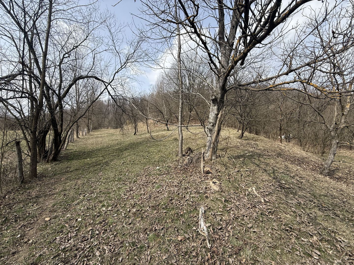 Teren 6040 mp la baza pădurii deschidere 40 ml - Poză 1