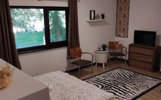 Vanzare Pensiune , Casa ,  Rezervatia Piatra Craiului / Satic, Arges - Poză 19