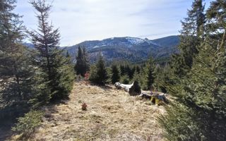 Teren de vânzare în zona montană a județului Alba - Poză 4