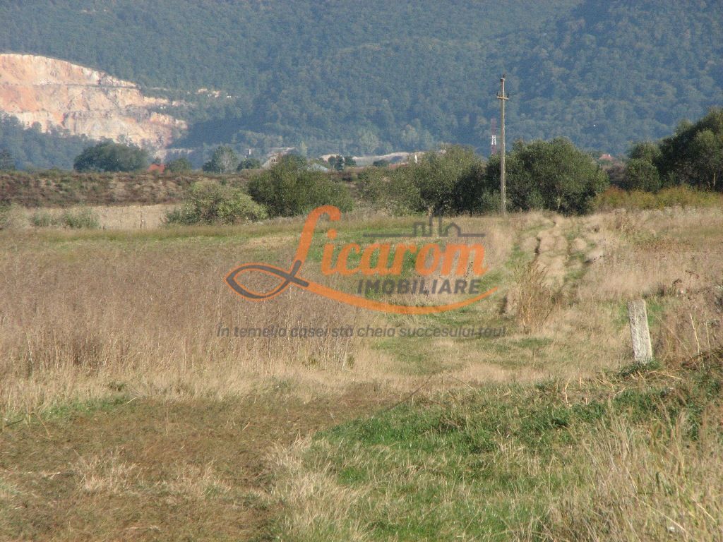 Codlea teren constructii industriale sau logistice 8 ha pana la 24 Ha - Poză 14