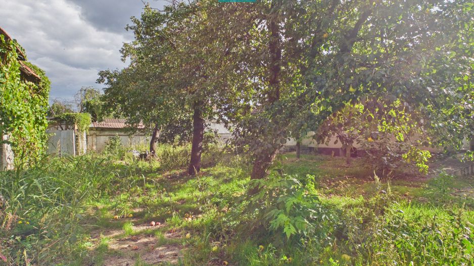 Casă cu teren de 1800 mp, în Buteni, Arad - Poză 19