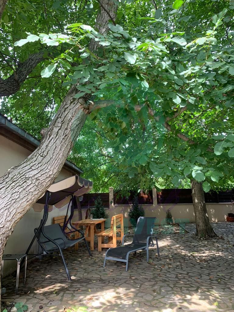 Silistea Snagovului-Casa de VACANTA  cu piscina - Poză 18