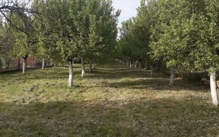 Vând casă cu teren mare 33,3 ari zona Baritiu - Poză 6