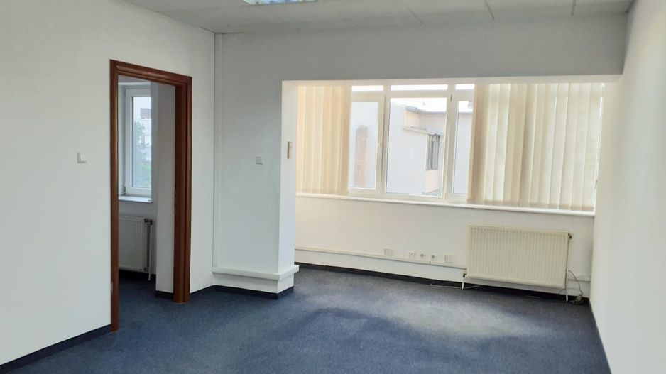 Spatiu birouri- Ion Mihalache- Ciuperca-Expozitiei - Poză 7