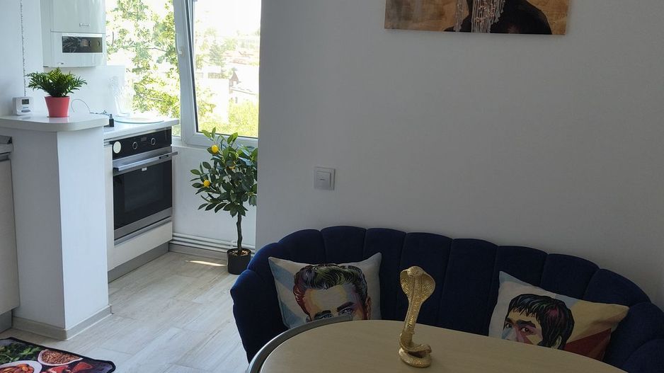 Apartament Ion Mihalache // Domenii - Poză 5