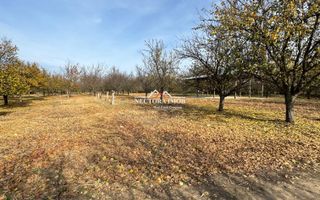 NECTORA IMOB-Teren cu livada matura+Anexa racordata la trifazic,9162mp - Poză 6