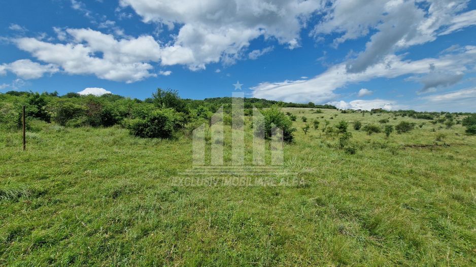 Teren extravilan de vanzare, Paclisa - Poză 7