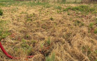 Teren 175 mp in Fratelia - Poză 4