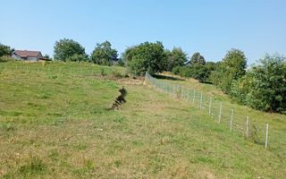 Teren Adancata | 42 Ari | Intravilan - Poză 4