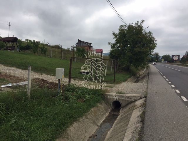 Teren intravilan 3700 mp-priveliste deosebita-Crainimat - Poză 2