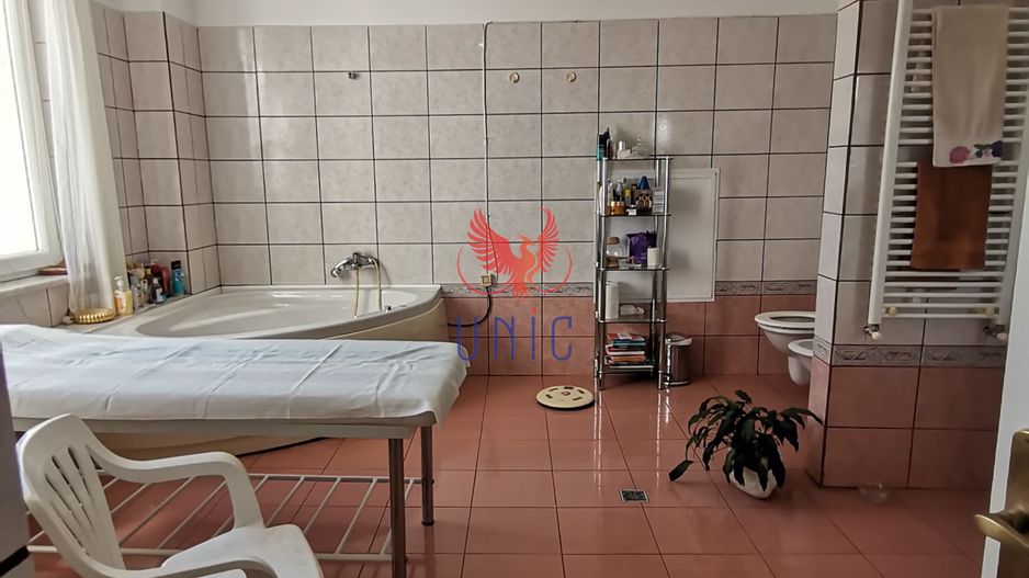 Vila Brazda lui Novac zona Paltinis - Poză 16