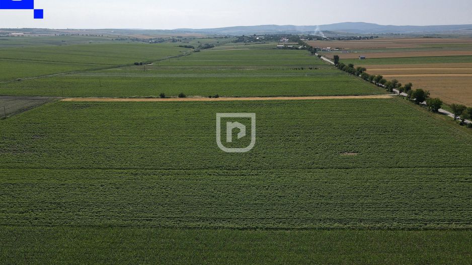 Teren - Orășeni Deal, Curtești | BOTOȘANI | 10.000mp - Poză 3