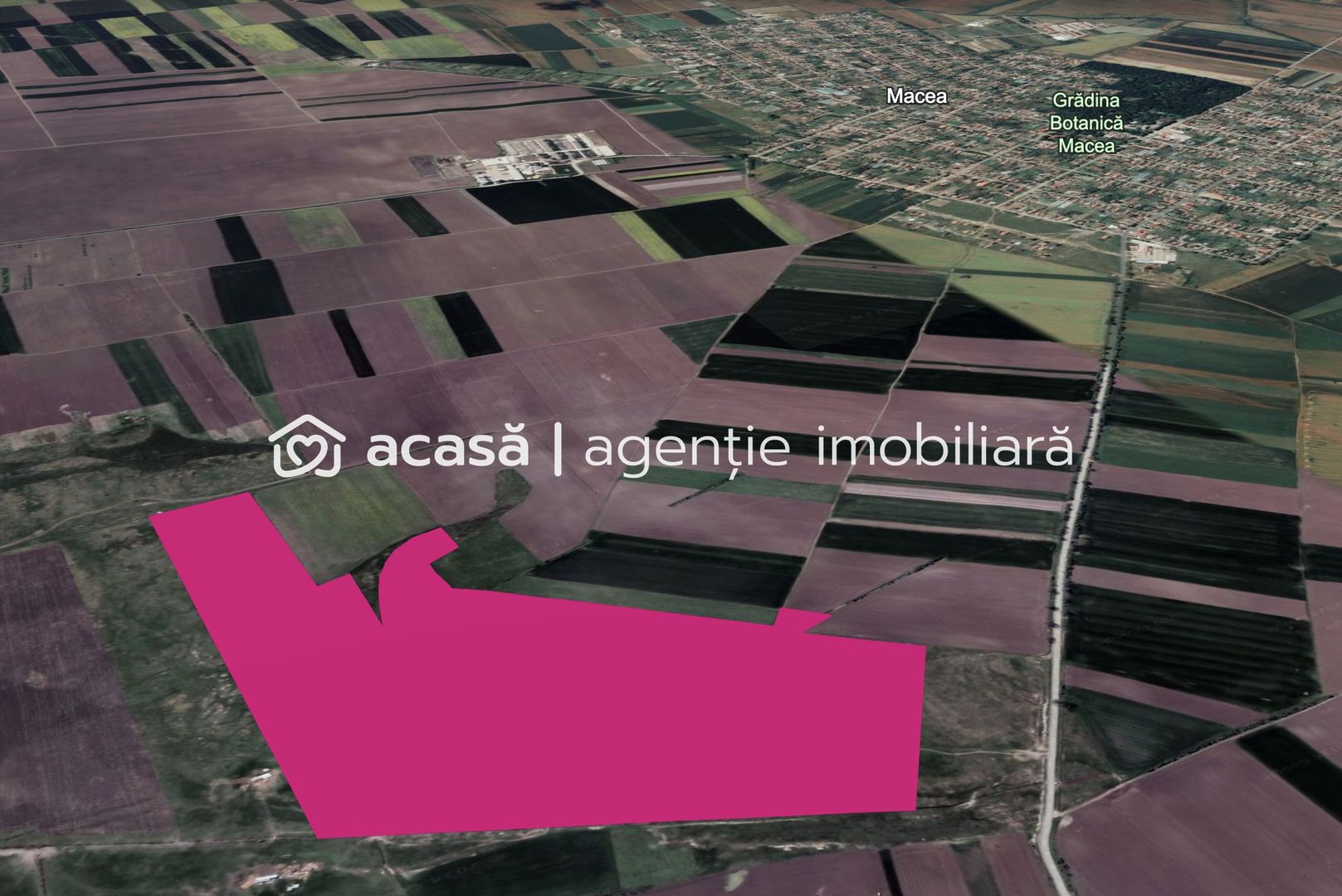 Teren 42 ha pentru parc fotovoltaic – Macea, Arad - Poză 1