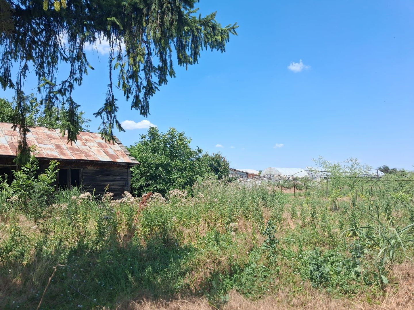 Vânzare teren Ilfov -Vidra | 3524 mp - Poză 3