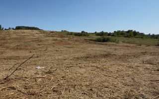 Teren de vanzare, 10.000 mp Oncea aproape de Blue Sky - Poză 3