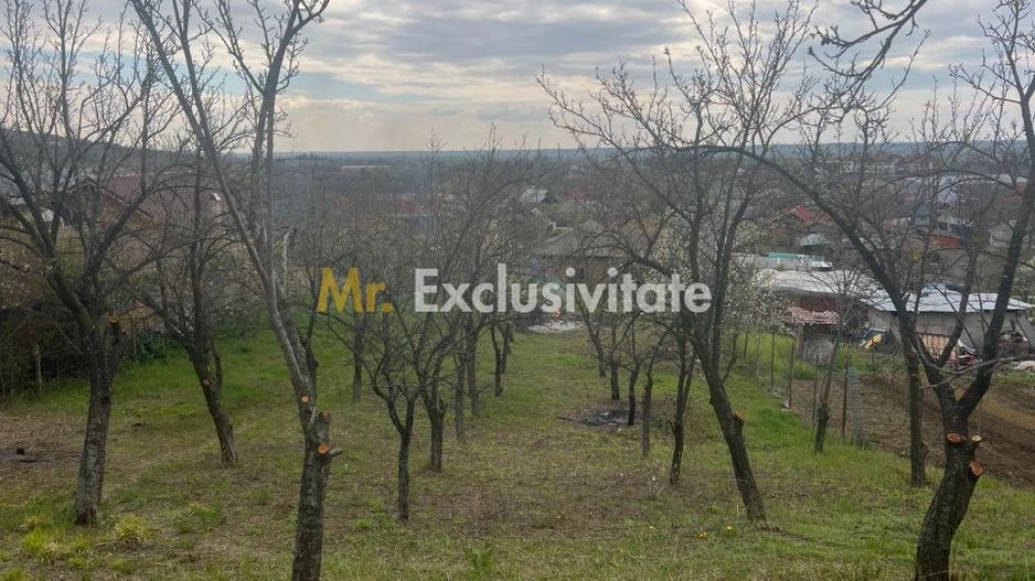 Teren intravilan 2.200 mp cu constructie existenta –Calinesti- Vranesti-Arges! - Poză 3