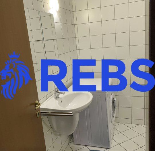 Apartament 3 camere Central Park - Poză 9