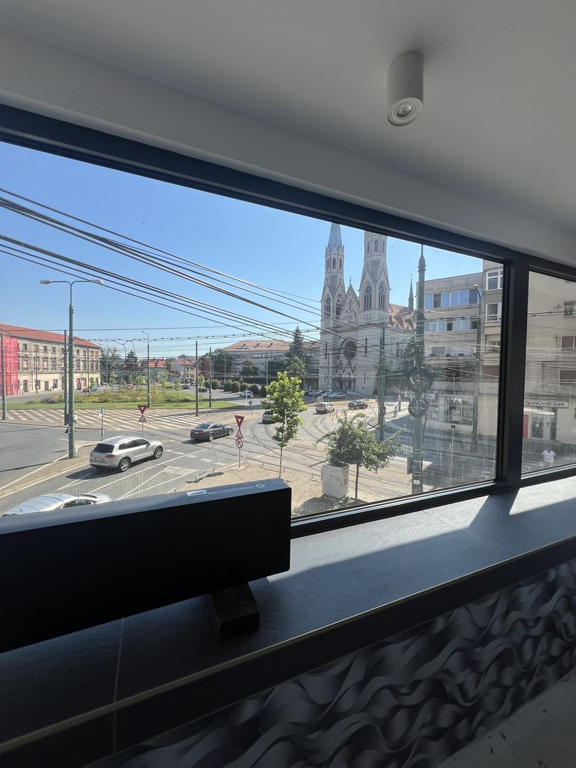 SAD CU VEDERE PANORAMICA - Poză 2