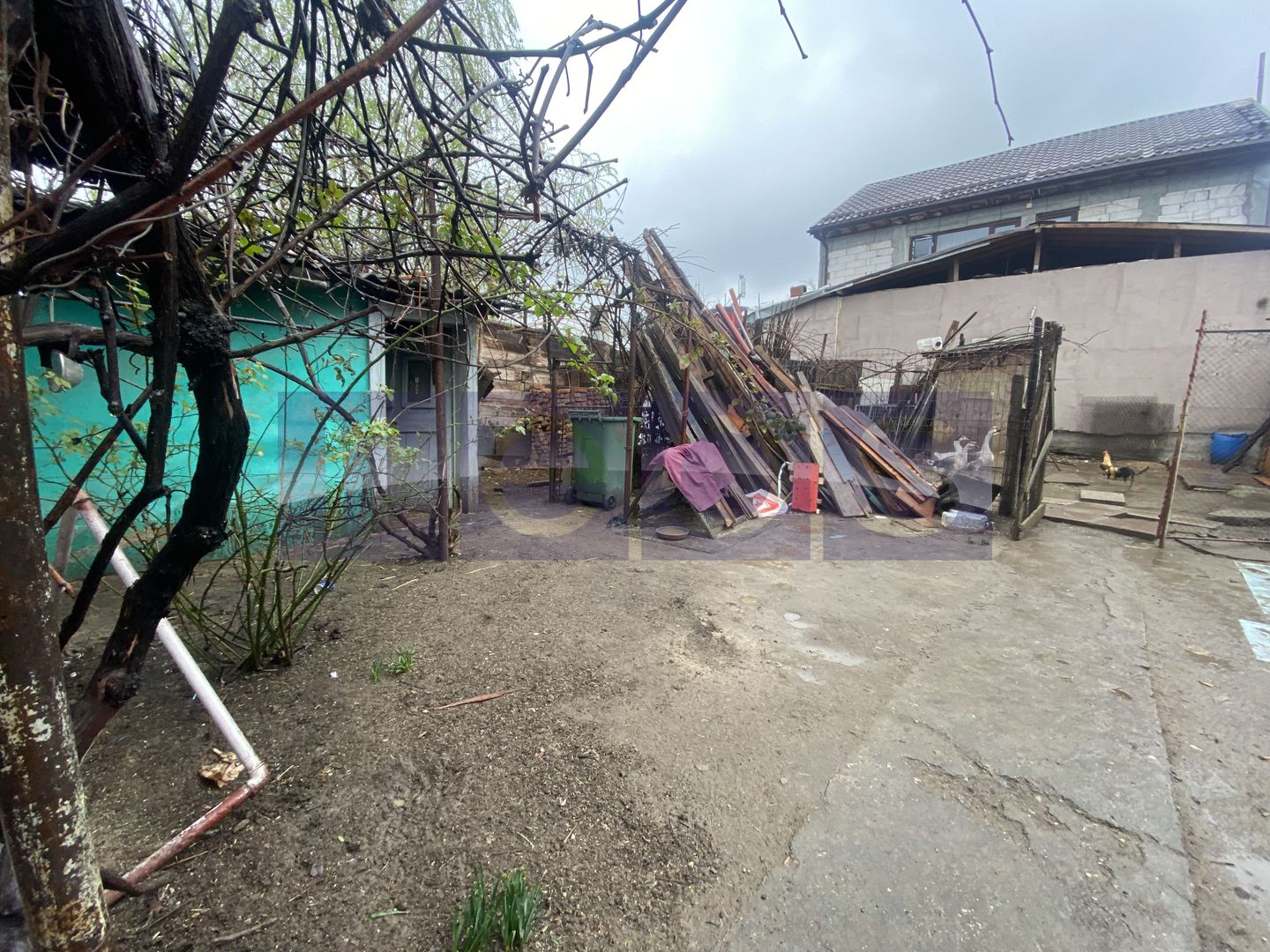 TEREN 800MP | STRAULESTI - Poză 3