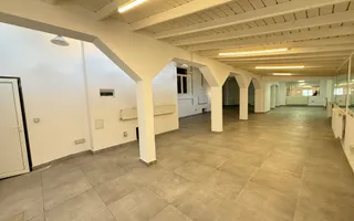Casa situata in zona Vasile Lascar, Mihai Eminescu, Bd. Dacia - Poză 16