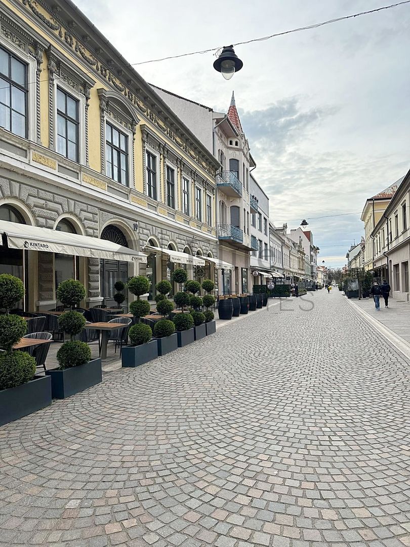 Apartament de inchiriat Ultracentral pe str. Vasile Alecsandri - Poză 2